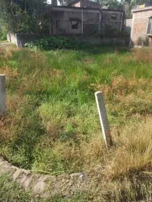 Plots Near Kalyani and AIIMS Kalyani – A Smart Real Estate Investment Opportunity